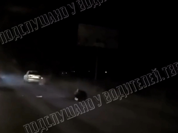 В Твери на Бурашевском шоссе иномарка сбила лося