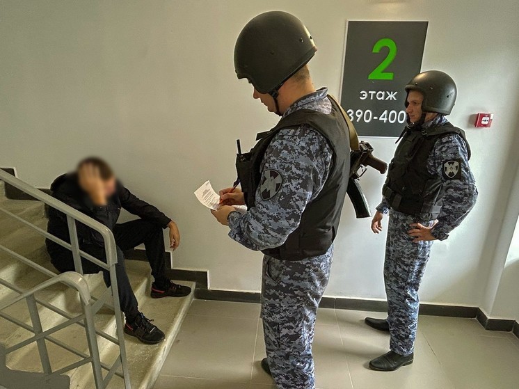 В Пензе мужчина выбросил из окна телевизор своей сестры