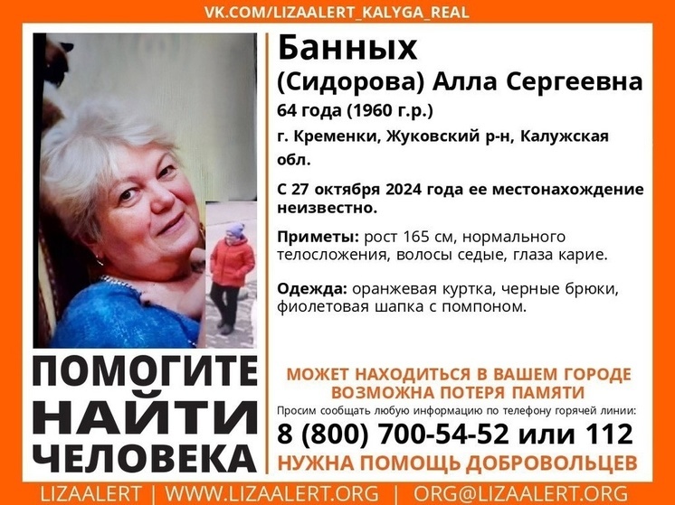 В калужских Кремёнках пропала женщина
