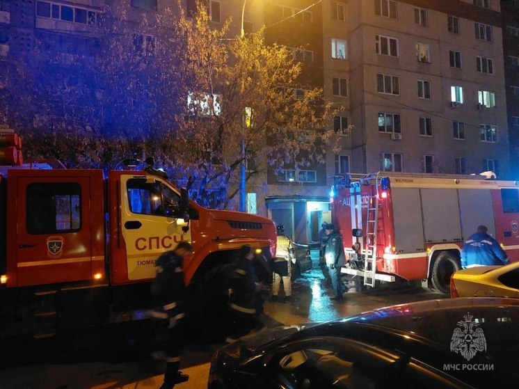 В Тюмени на пожаре спасены двенадцать человек
