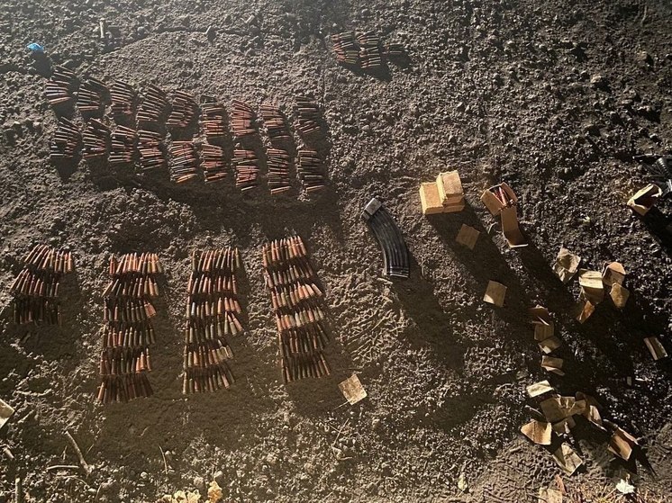 В ДНР у жителей изъяли 50 единиц огнестрельного оружия