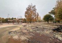 Горожане пребывают в догадках, что же появится на месте детской зоны отдыха? Об этом пока ничего неизвестно.