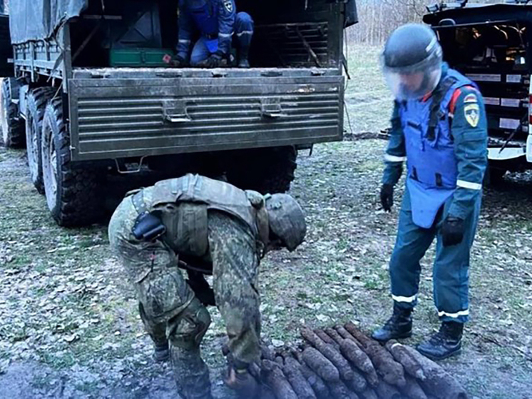Под Балтийском питерские саперы обезвредили свыше 1200 боеприпасов