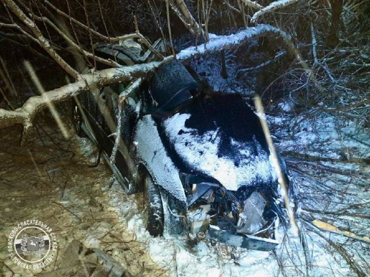 Водителю грузовика помощь не потребовалась: стали известны подробности смертельной аварии в  Томском районе