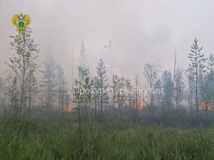 Виновника лесного пожара обязали возместить более полумиллиона рублей