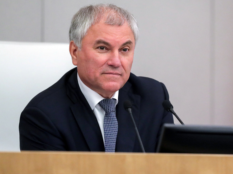 Володин: с 1 ноября в России начнет действовать ряд новых законов