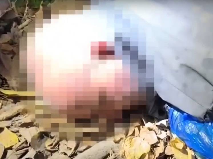 В Донецке предотвратили теракт