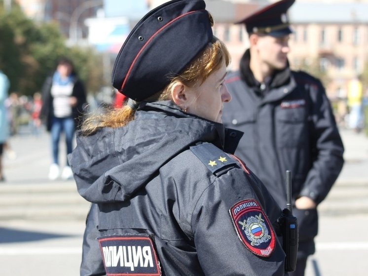 Швыряющих камни в автомобили подростков задержали в Тульской области