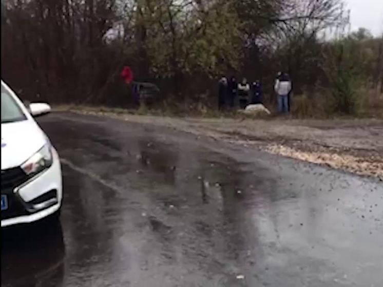 В Волгоградской области на трассе водитель ВАЗа врезался в дерево и погиб