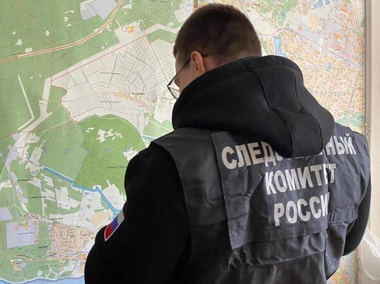 Петербуржец попал под суд за нападение на следователя во время обыска