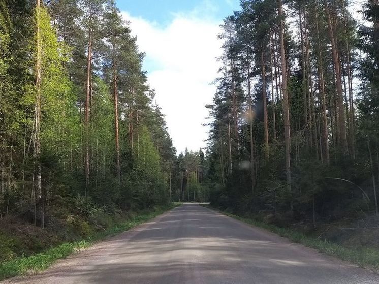 Под Тосно машина вылетела в кювет — водителю оказали помощь очевидцы