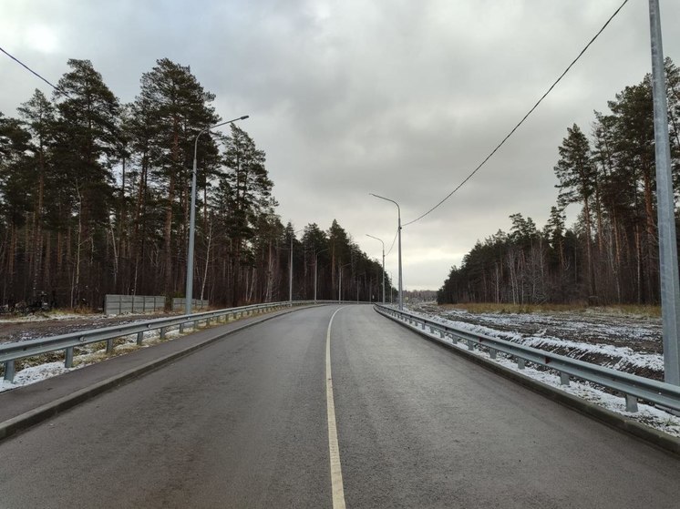 В Новосибирской области открыли рабочее движение по эстакаде на обходе Кольцово