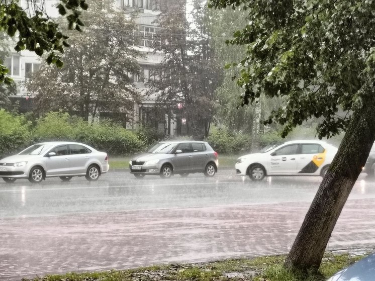 Брянцев предупредили о сильном ветре и дождях 1 ноября