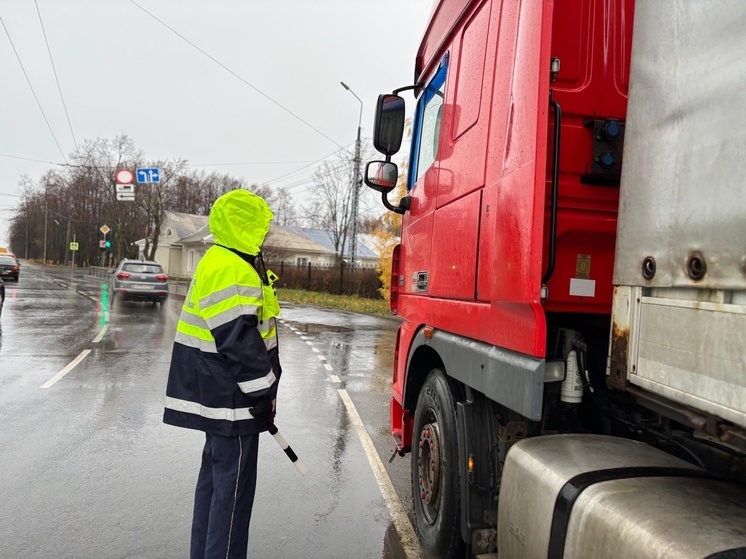 Водителей большегрузов оштрафовали за проезд по мосту в Петрозаводске