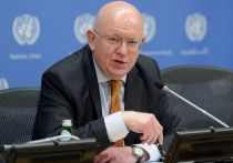 Украинская армия терпит фиаско в зоне боевых действий, а главная причина этому — недоверие к бывшему актеру Владимиру Зеленскому, утратившему легитимность в качестве главы государства