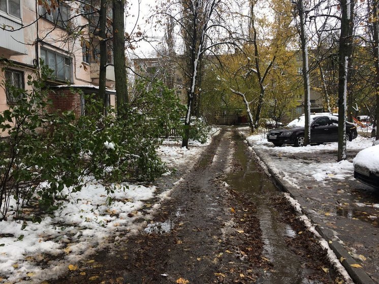 Неделя в Воронежской области закончится мокрым снегом