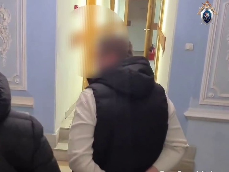 В Петербурге по подозрению в мошенничестве задержали гендиректора стройфирмы