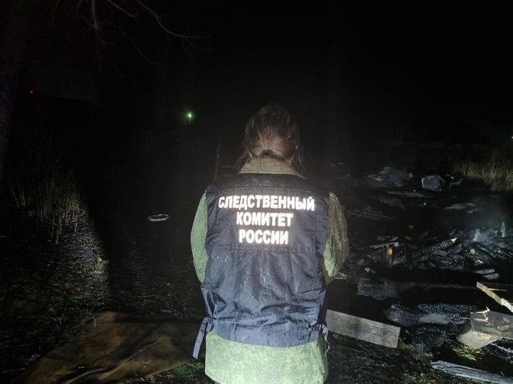 Валдайский следственный отдел начал расследование гибели женщины на пожаре