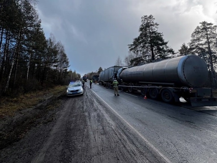 На Южном Урале за неделю в ДТП 5 человек погибли и 55 пострадали