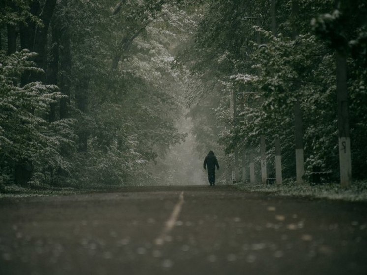 Пензенцев предупредили о грозе 2 ноября