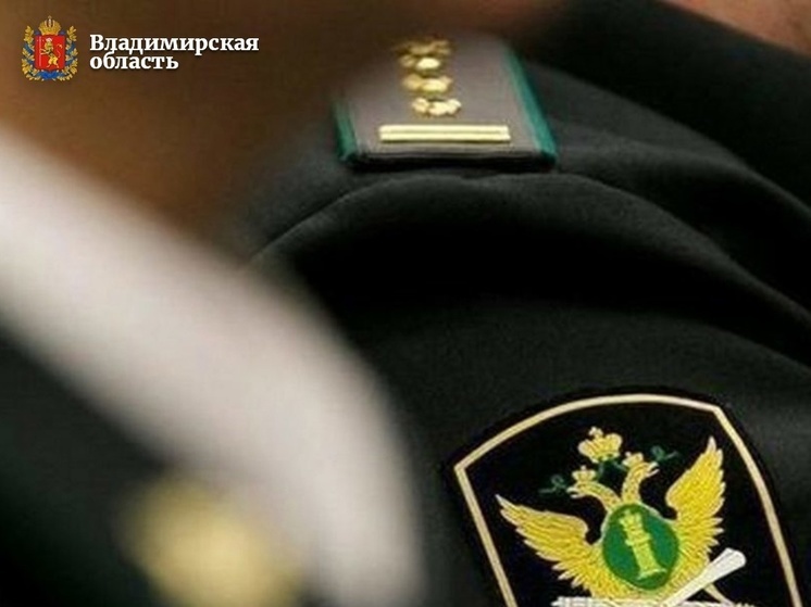 Владимирские приставы зв пользу детей взыскали 347 миллионов рублей