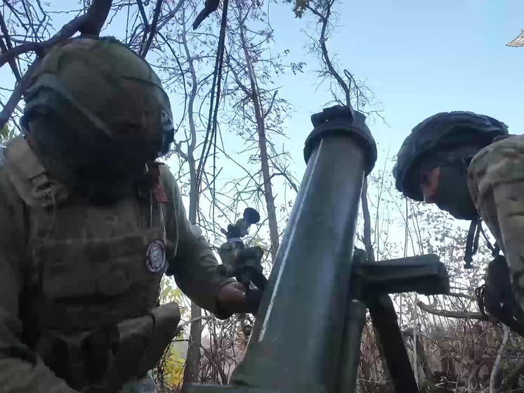 Зираддин Рзаев оценил, случится ли прямое столкновение России и НАТО