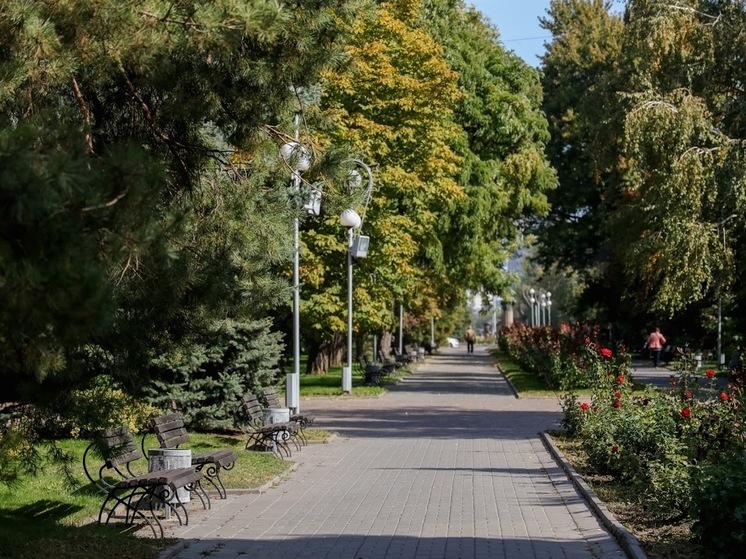 В волгоградском городском саду сносят бар Harat's Pub