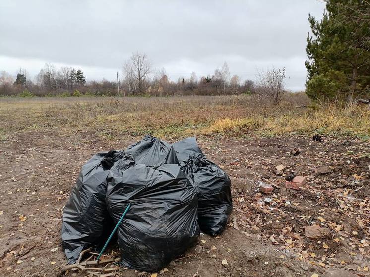 В Красноармейском округе прокуратура добилась ликвидации стихийной свалки