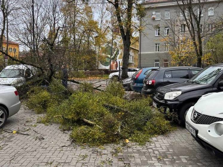 В Калининграде ввели режим повышенной готовности из-за урагана «Мартина»