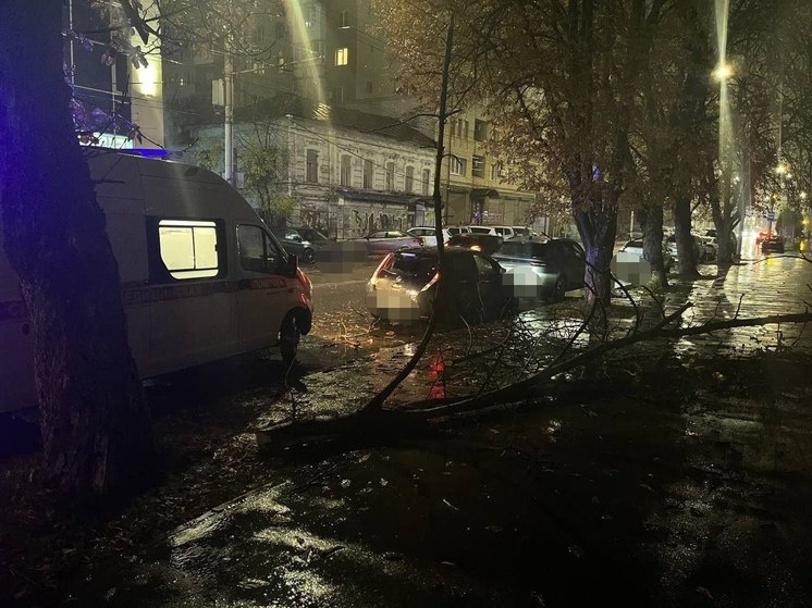 В центре Саратова на несовершеннолетнюю горожанку упала ветка