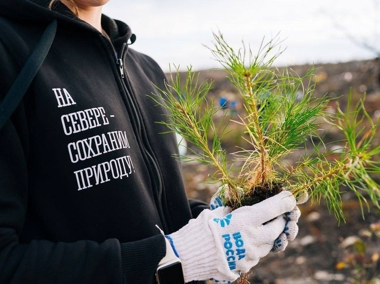 Экологический конкурс пройдет в Мурманской области