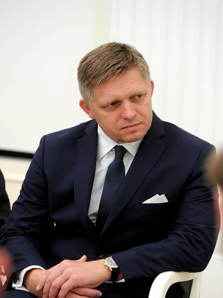 Fico: Словакия планирует присоединиться к инициативе «Друзья мира»