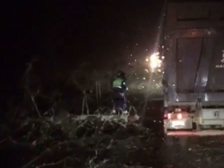 Ураганный ветер спровоцировал деревопад в Подмосковье