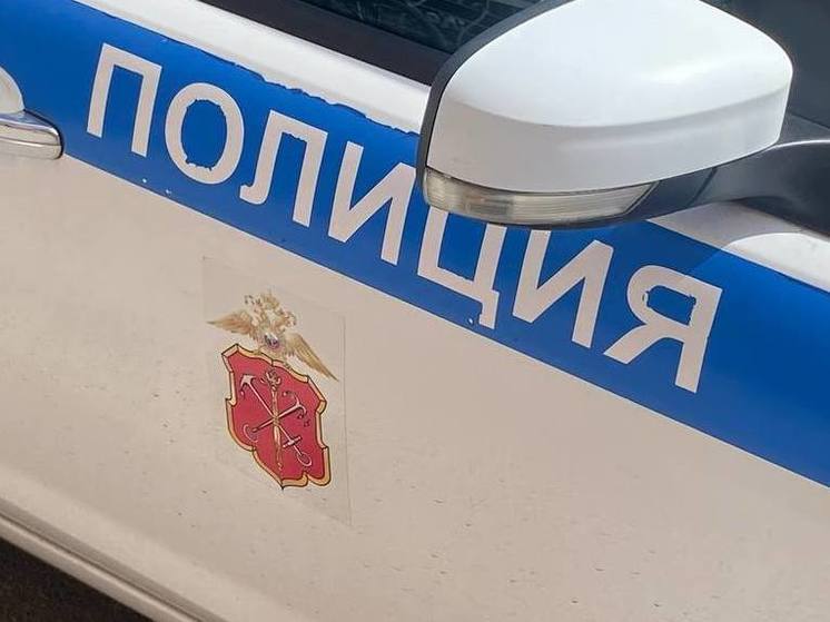 В дачном массиве в Выборгском районе нашли труп с пробитой головой