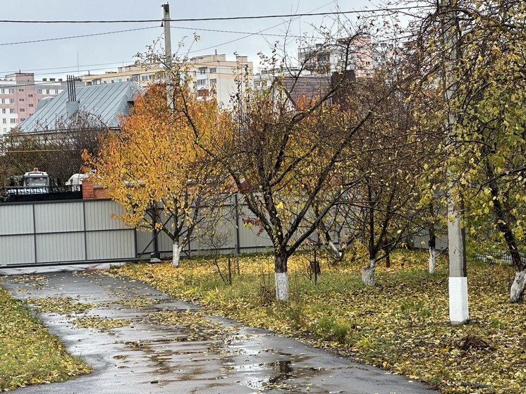 Ноябрь – время последних приготовлений огорода к зиме. Нужно успеть защитить свои растения от подступающих холодов и снега. 