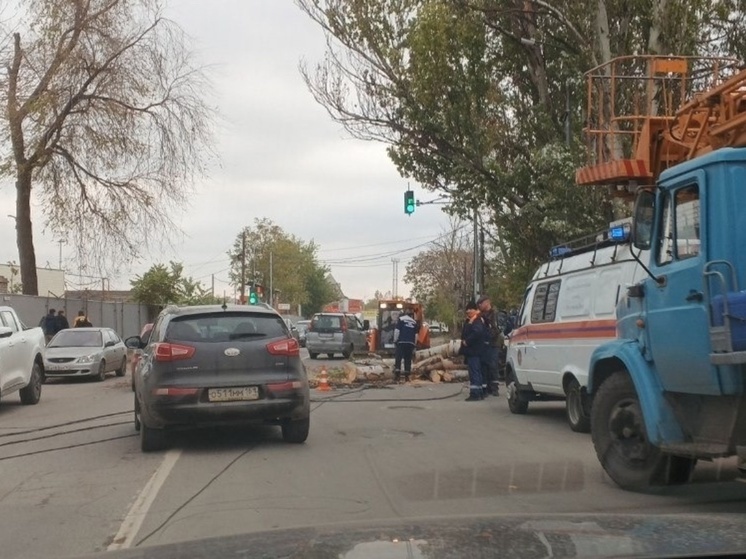 В Ростове упавшее дерево заблокировало проезд и повредило провода на Текучева