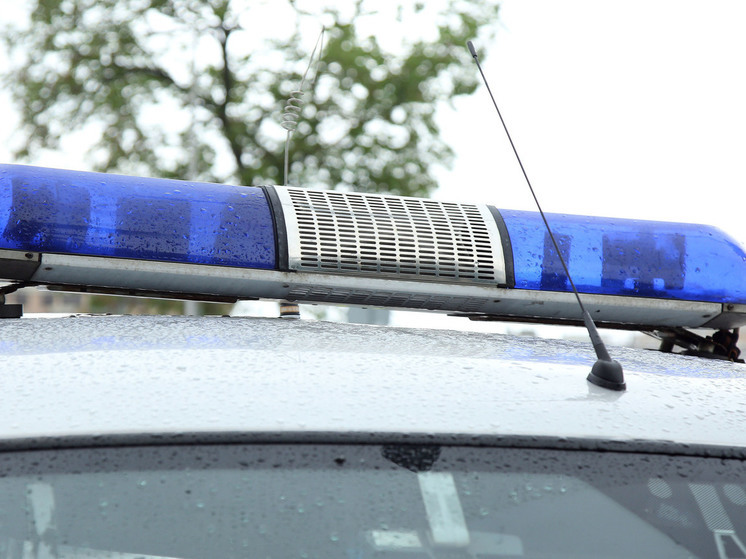 Жительницу Подмосковья подозревают в мошенничестве на 26 млн рублей