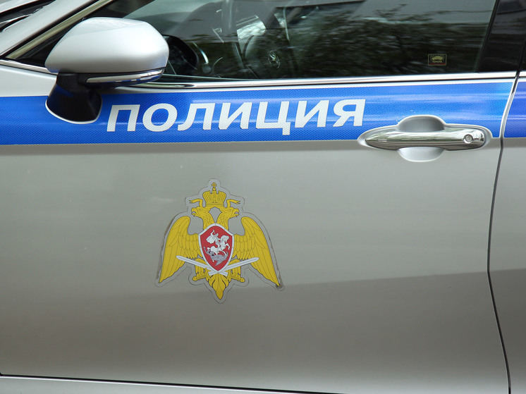 Задержали членов группировки, причастных к теракту в «Крокусе»