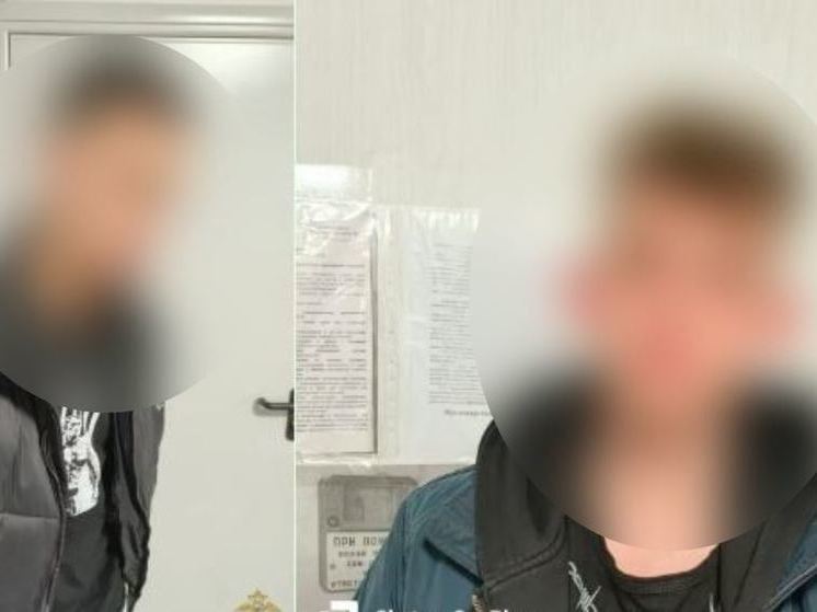 Полиция задержала двух подозреваемых в разбойном нападении в Мурино