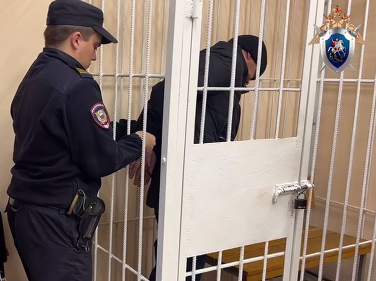 В Омске задержали подозреваемого в убийстве 15-летней москвички