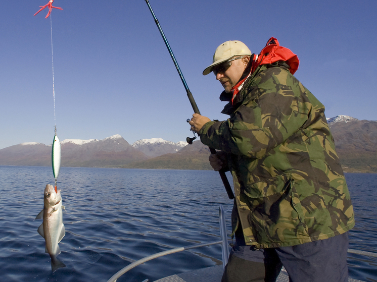 Bloomberg: Россия и Норвегия заключили соглашение по ведению рыболовства в Баренцевом море