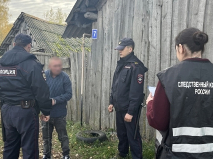 Житель брянского села в пьяном угаре забил приятеля лопатой