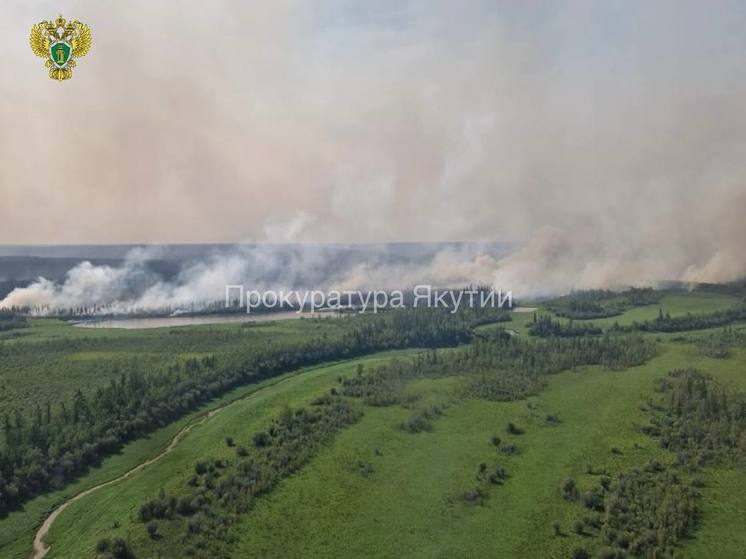 В Верхневилюйском районе с виновника лесного пожара взыскано 600 тыс рублей