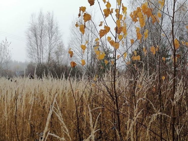 МЧС Подмосковья выпустило экстренное предупреждение