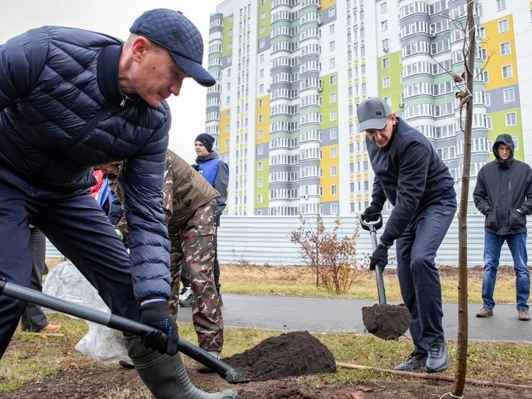 На территории столицы Соловьиного края подрядная организация приступила к посадке крупномерных деревьев