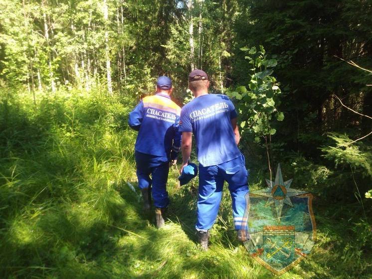 Ленинградские спасатели подвели итоги сезона «потеряшек»