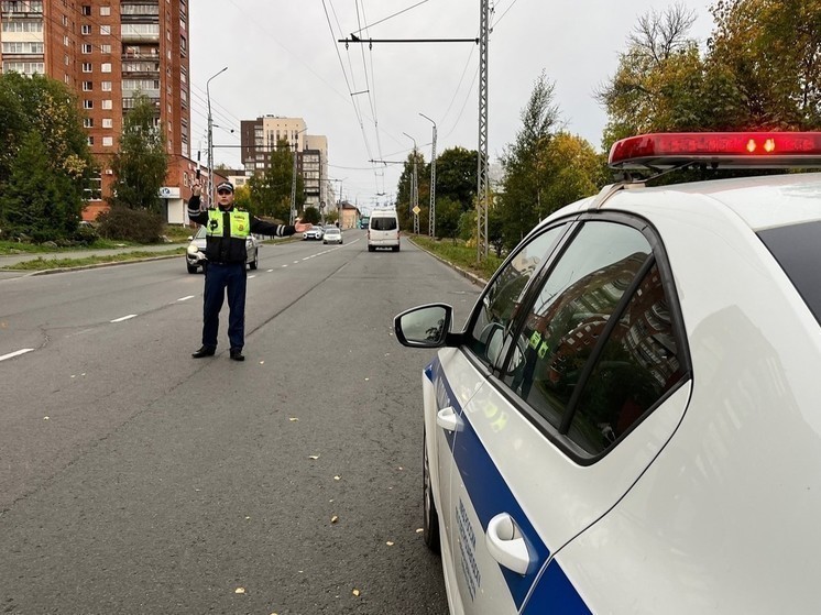 Госавтоинспекция накажет общительного маршрутчика в Петрозаводске