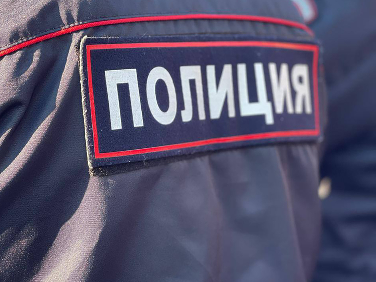 Полиция Калининграда за 2 дня задержала подозреваемых в преступлениях