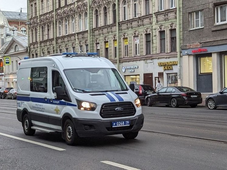 Жителя Сланцев задержали за нападение на иностранца в Петербурге