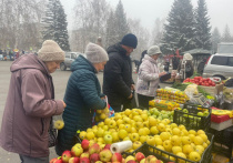 Осенний сезон продовольственных ярмарок завершается в Барнаул. Товарооборот ярмарки (3 ноября) составил 9,7 млн рублей, сообщает пресс-центр мэрии города.